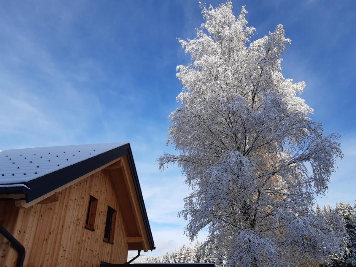 Apartmán Auszeit Almhaus Schmalzbauer Sankt Andrä Exteriér fotografie